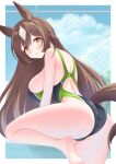  animal_ears ass barefoot black_one-piece_swimsuit braid breasts brown_eyes brown_hair chain-link_fence commentary_request competition_swimsuit cowboy_shot double-parted_bangs fence from_behind gurukorian hair_between_eyes half_up_braid half_updo highres horse_ears horse_girl horse_tail huge_breasts long_hair looking_at_viewer one-piece_swimsuit racerback satono_diamond_(umamusume) swimsuit tail two-tone_swimsuit umamusume 