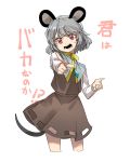 animal_ears bangs black_skirt capelet commentary foreshortening grey_hair highres iirodo jewelry mouse_ears mouse_tail nazrin open_mouth pendant pointing red_eyes simple_background skirt skirt_set solo standing sweatdrop tail teeth thick_eyebrows touhou translated vest white_background 