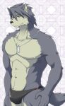  1boy abs animal_ears bara black_male_swimwear bulge closed_mouth commentary_request dog_boy dog_ears dog_tags dog_tail furry furry_male ig1119 jewelry kouya_aotsuki looking_at_viewer male_focus male_swimwear morenatsu muscular muscular_male navel necklace nipples pectorals swim_briefs tail 