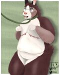 4:5 absurd_res andromorph anthro bdsm benzfur bodily_fluids canid canine canis domestic_dog drooling eyewear glasses herding_dog hi_res intersex leash mammal pastoral_dog petplay puppyplay roleplay saliva slightly_chubby trans_(lore) trans_man_(lore) welsh_corgi