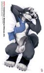 2016 anthro balls black_fur black_penis blue_eyes canine disney erection fur grey_fur hi_res humanoid_penis larry_(zootopia) looking_at_viewer lying male mammal multicolored_fur nude on_back partially_retracted_foreskin penis pinup pose precum raised_arm scarf seductive smile solo uncut wolf wolver_mustang zootopia 