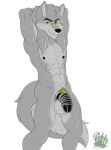  anthro blackbear canine chastity chastity_cage fur hands_behind_head humanoid_penis looking_at_viewer male mammal muscular nipples nude penis pose simple_background solo wolf 