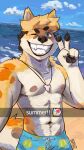 2025 abs anthro artfight artfight2025 athletic bandage bandage_on_face beach canid canine canis caption clothing domestic_dog emoji gesture hand_gesture hi_res looking_at_viewer male mammal muscular navel nipples one_eye_closed pawpads pecs sea selfie shaded shark_tooth_necklace shiba_inu shoreline smile soft_shading solo spitz spyz_(artist) summer swimwear text v_sign water wink