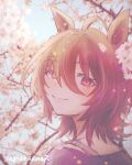  1girl agnes_tachyon_(umamusume) agoumauma2 ahoge animal_ears artist_name bra_strap branch brown_hair cherry_blossoms closed_mouth flower horse_ears horse_girl looking_at_viewer looking_back medium_hair pink_flower purple_shirt red_eyes shirt smile solo twitter_username umamusume 