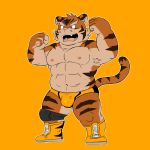  anthro boots bulge clothed clothing feline footwear kotetsu_oshima male mammal navel nipples shiba-kenta simple_background tiger topless wrestling_briefs 