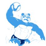  anthro ball bear clothed clothing male mammal navel nipples panda shiba-kenta solo speedo swimming swimsuit topless water water_polo 
