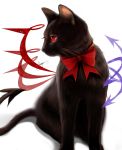  animalization artist_name asymmetrical_wings black_cat blue_wings bow bowtie cat cat_focus demon_tail highres houjuu_nue no_humans red_bow red_eyes red_neckwear red_wings shadow sheya signature simple_background solo tail touhou white_background wings 