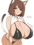  1girl absurdres animal_ears blush braid breasts brown_eyes brown_hair cat_ears cat_girl cat_tail cleavage dated highres large_breasts luminous_witches navel open_mouth shibuya_inori shirt short_hair signature simple_background solo tail tears unkai_daraku wavy_hair white_background white_shirt world_witches_series 