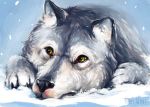  canine cold digital_media_(artwork) digitalart feral illustration invalid_tag mammal naviwavi smaller_version_at_source snow winter wolf 