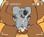  anal anal_penetration bear bunnybara cartoon_network cum cum_in_ass cum_inside duo grizzly_(wbb) grizzly_bear inside koala male male/male mammal marsupial nom_nom_(wbb) penetration recording size_difference we_bare_bears 