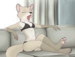  2018 autumndeer canine clothing detailed_background fangs female fox fur mammal open_mouth paws sitting sofa tongue underwear yawn yellow_fur 