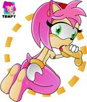  amy_rose sonic_team tagme tempy 