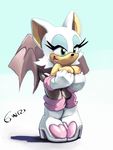  breasts euroland female green_eyes nipples rouge_the_bat sega solo sonic_(series) sonic_team 