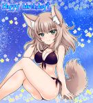  animal_ears bangs bikini black_bikini blue_background blue_eyes breasts burafu cleavage closed_mouth commentary_request crossed_legs dog_ears dog_tail english eyebrows_visible_through_hair front-tie_bikini front-tie_top girls_und_panzer hand_in_hair happy_birthday itsumi_erika kemonomimi_mode long_hair looking_at_viewer medium_breasts side-tie_bikini silver_hair sitting smile solo star starry_background swimsuit tail thighs 