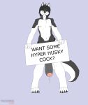  blue_eyes bulge canine cum cum_leaking dog english_text eyewear foreskin fur glasses grey_fur grey_hair hair husky hyper hyper_penis male mammal penis servo sign straps text trooper036 uncut white_fur 