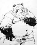  2017 anthro balls belly canine clothing male mammal nipples overweight overweight_male penis solo suishou0602 tanuki tongue tongue_out underwear 