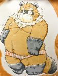  2016 anthro belly brown_fur canine clothing fur male mammal moobs nipples overweight overweight_male solo suishou0602 tanuki underwear 