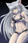  :d animal_ears black_bra black_hanekawa black_panties bra breasts cat_ears cleavage commentary fangs hanekawa_tsubasa highres lingerie long_hair markus_moeller monogatari_(series) navel nekomonogatari open_mouth panties silver_hair slit_pupils smile solo underwear underwear_only very_long_hair yellow_eyes 