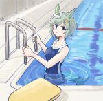  1girl animal_ears bare_shoulders blue_eyes blue_one-piece_swimsuit blush breasts collarbone commentary_request ear_covers flower grey_hair hair_between_eyes hair_flower hair_ornament hairclip highres horse_ears horse_girl horse_tail kickboard looking_at_viewer one-piece_swimsuit pool pool_ladder saramiao-chan school_swimsuit seiun_sky_(umamusume) short_hair single_ear_cover small_breasts solo sunflower sunflower_hair_ornament swimsuit tail umamusume water 