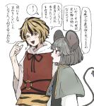  2girls animal_ears animal_print black_dress black_hair blonde_hair capelet commentary_request dress grey_capelet grey_hair highres jewelry long_sleeves mouse_(animal) mouse_ears mouse_girl mouse_tail multicolored_hair multiple_girls nazrin necklace open_mouth pendant red_dress red_eyes short_hair simple_background smile tail tiger_print tktkhappymchyru toramaru_shou touhou translation_request two-tone_hair white_background yellow_eyes 