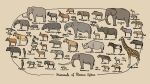  aepyceros_datoadeni afrocyon anancus ancylotherium animal_focus antelope antidorcas_bondi antlers archaeopotamus australopithecus baboon boar budorcas_churcheri ceratotherium_mauritanicum cercopithecoides civet civettictis_braini clip_studio_paint_(medium) commentary_request damalborea deinotherium diceros_praecox dinofelis dinopithecus elephant english_text enhydriodon eurygnathohippus_woldegabrieli fox from_side galerix gazella_harmonae gazelle giraffa_jumae giraffe gorgopithecus greek_text highres hippopotamus hippopotamus_gorgops hippotragus_gigas honey_badger horns horse hyena hyrax_(animal) ictitherium impala kenyanthropus kogane_(ffex2453) kolpochoerus laetolia latin_text lutra_hearsti lycaon_sekowei makapania mammoth mammuthus_africanavus megalotragus megantereon mellivora_benfieldi monkey no_humans notochoerus nyctereutes_abdeslami original otter paleoart panther panthera_shawi paracolobus parmularius potamochoeroides prehistoric_animal procavia_antiqua procavia_transvaalensis proteles_amplidentus pygmy_hippopotamus raphicerus_paralius rhinoceros rhinocolobus sabretooth_tiger saotherium scientific_name selenetherium sivatherium takin tanuki tusks ugandax viverra_leakeyi vulpes_mathisoni wildebeest 