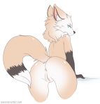  2017 anthro anus blue_eyes boxollie butt canine female gloves_(marking) looking_back mammal markings presenting presenting_hindquarters pussy simple_background solo white_background wolf 