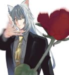  1boy animal_ears black_jacket cat_boy cat_ears crossed_bangs flower grey_hair grey_shirt hair_between_eyes hand_up highres jacket long_hair male_focus meme motion_blur necktie oyakoricell rose severian_lowell shirt simple_background solo throwing upper_body white_background woe_plague_be_upon_ye_(meme) yellow_eyes yellow_necktie zenless_zone_zero 