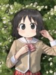  1girl black_eyes black_hair blush bow bowtie breast_pocket choppy_bangs closed_mouth collared_shirt commentary day dress_shirt field flower flower_field foliage from_above grass hand_on_own_chest hand_up helloaite highres looking_at_viewer looking_up lying messy_hair nichijou on_back outdoors pink_bow pink_bowtie pink_trim plaid_clothes plaid_skirt pleated_skirt pocket red_skirt sailor_collar school_uniform serafuku shinonome_nano shirt skirt smile solo tokisadame_school_uniform upper_body white_flower white_sailor_collar yellow_shirt 