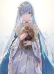  anastasia_(fate/grand_order) bangs blue_eyes cape choker commentary_request crossed_bangs crown doll dress eyebrows_visible_through_hair eyes_visible_through_hair fate/grand_order fate_(series) hair_between_eyes hair_over_one_eye hairband highres holding holding_doll ice jewelry long_hair looking_at_viewer mini_crown royal_robe shun-syun silver_hair solo standing very_long_hair white_dress winter 