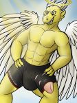  2018 aetherius angel angel_dragon balls big_balls big_bulge big_penis boxers_(clothing) bulge claws clothing dragon feathered_wings feathers flaccid gold_scales grin halo heaven holy horn huge_balls huge_penis male muscular penis penis_through_leghole poking_out sammy_the_tanuki scales smile smug torn_clothing underwear wings 