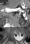  2girls fianna_ray_ordesia monochrome multiple_girls rubia_elstein seirei_tsukai_no_blade_dance 