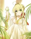  1girl ahoge bird bird_on_hand blush braid braided_base breasts bun_with_braided_base cleavage dress fate_(series) green_bird hair_bun hair_intakes hair_ribbon highres looking_at_viewer nero_claudius_(fate) parakeet puffy_sleeves red_ribbon ribbon single_hair_bun smile white_dress wide_sleeves zhang5180 