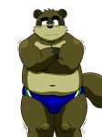  anthro bulge canine clothed clothing freezing male mammal musclegut muscular muscular_male navel shiba-kenta slightly_chubby solo speedo swimsuit tanuki topless 