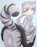  1girl animal_ear_fluff animal_ears back blue_background blush cat_ears cat_girl cat_tail extra_ears gloves grey_hair highres kemono_friends looking_at_viewer looking_back lowlandgorilla pallas's_cat_(kemono_friends) panties pantyhose scarf shirt short_hair simple_background skirt solo tail underwear yellow_eyes 