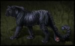  black_fur black_nose digital_media_(artwork) feline feral fur mammal paws sidonie simple_background solo standing tiger whiskers yellow_eyes 