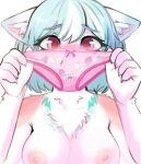 anthro blush bow_panties bow_underwear breasts clothing domestic_cat embarrassed felid feline felis female front_view gusset heart_pupils heart_symbol holding_clothing holding_object holding_underwear mammal nipples panties panties_trend pink_clothing pink_panties pink_underwear presenting_underwear rabbit_panties sebalestia solo standing strawberry_panties underwear