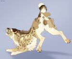 2026 animal_genitalia animal_vulva anus ass_up balls bestiality bodily_fluids brown_body brown_fur butt claws digital_media_(artwork) digitigrade digitoxici disembodied_hand disembodied_penis duo erection eyes_closed felid feline feline_genitalia feline_vulva female female_feral female_on_human female_penetrated feral feral_penetrated fur genital_fluids genitals grin hand_on_butt hand_on_tail hi_res human human_on_feral human_penetrating human_penetrating_feral interspecies leopard_spots looking_pleasured male male/female male_human male_on_feral male_penetrating male_penetrating_female mammal pawpads paws penetration penile penile_penetration penis penis_in_vagina quadruped raised_tail sex smile spots tail tail_anus tail_grab tan_body tan_fur toe_claws vaginal vaginal_fluid_string vaginal_fluids vaginal_fluids_on_balls vaginal_penetration vulva whiskers white_body white_fur