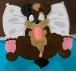  absurd_res anthro anus autofellatio balls bed blue_eyes brown_fur canine dog floppy_ears fur hi_res k-9 male mammal masturbation ollie on_bed oral pencilneck penis puffy_anus solo spread_legs spreading 