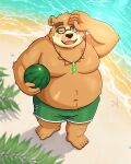 2026 4:5 5_fingers absurd_res anthro beach bear belly big_belly blush bottomwear clothing detailed_background fingers food fruit hi_res humanoid_hands kemono lifewonders male mammal melon moobs navel one_eye_closed open_mouth outside overweight overweight_male plant shorts solo standing swimwear tokyo_afterschool_summoners volos_(tas) watermelon yaki_atsuage