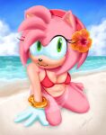absurd_res accessory amy_rose antenna_hair anthro bangle beach bikini black_nose breasts cleavage clothed clothing cloud conjoined_eyes countershade_arms countershade_face countershade_snout countershade_torso countershading eulipotyphlan eyelashes feet female flower flower_in_hair foreshortening gabeawwsome glistening glistening_nose gloves gold_bangle green_eyes hair hair_accessory hairband handwear head_tuft headband hedgehog hi_res jewelry kneeling looking_at_viewer mammal pink_body plant pointy_ears prick_ears red_bikini red_clothing red_swimwear sand sea sega shawl short_hair signature sky skyscape smile smiling_at_viewer snout solo sonic_the_hedgehog_(series) swimwear toes tuft two-piece_swimsuit water wave white_clothing white_gloves white_handwear