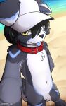 5:8 absurd_res alternate_version_at_source baseball_cap beach blep bodily_fluids border_collie canid canine canis clothing collar collie domestic_dog flaccid floppy_ears foreskin genital_fluids genitals hat headgear headwear herding_dog heterochromia hi_res looking_at_viewer mammal outside pastoral_dog paws penis precum sand selfie sheepdog snowdrift_(snowybark) snowybark solo standing tongue tongue_out