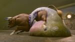 16:9 3d_(artwork) big_diaper bovid bovine bovine_tail brown_body brown_fur bulging_diaper cattle detailed_background diaper diaper_bulge digital_media_(artwork) excessive_feces feces feral fur hi_res hooves horn huge_diaper hyper hyper_diaper hyper_feces inside kenresek lifted_up looking_back male mammal muscular pattern_diaper pooping sagging_diaper soiled soiled_diaper soiling soiling_diaper solo stained_diaper unclean_diaper used_diaper using_diaper watermark white_diaper widescreen