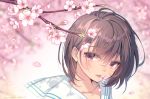  bangs blurry blurry_background blush brown_hair cherry_blossoms collarbone day depth_of_field eyebrows_visible_through_hair flower looking_at_viewer mouth_hold nakahara_yoshi original outdoors pink_eyes pink_flower sailor_collar shade shiny shiny_hair short_hair solo spring_(season) sunlight tree_branch twitter_username upper_body white_sailor_collar 