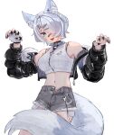  1girl absurdres animal_ears aqua_eyes bandaid bandaid_on_face bandaid_on_nose black_jacket black_nails blush breasts claw_pose commentary cowboy_shot elira_pendora elira_pendora_(6th_costume) english_commentary fingerless_gloves fur-trimmed_jacket fur-trimmed_shorts fur_trim gloves grey_hair hair_over_one_eye half-jacket highres jacket large_breasts linea_alba looking_at_viewer midriff mole mole_on_armpit navel nijisanji nijisanji_en off_shoulder open_fly short_hair shorts simple_background single_fingerless_glove solo tail virtual_youtuber white_background wolf_ears wolf_tail zenniith 