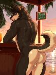3:4 alcohol anthro backsack balls beach beach_bar beard beverage blue_eyes butt canid canine canis cocktail eyebrows facial_hair genitals hair hi_res male mammal netiscraft nude rear_view short_hair solo sunset tail wet wet_body wolf