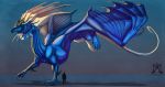  ambiguous_gender blue_eyes blue_scales claws digital_media_(artwork) dragon horn membranous_wings model_sheet noctem-tenebris scales scalie simple_background solo wings 