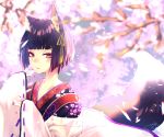  animal_ear_fluff animal_ears bangs black_hair blunt_bangs blurry blurry_background blush bob_cut cherry_blossoms chita_(ketchup) eyebrows_visible_through_hair eyelashes fingernails fox_ears fox_girl fox_tail hair_ribbon highres japanese_clothes kimono long_sleeves looking_at_viewer multicolored multicolored_eyes nail_polish original parted_lips red_nails ribbon ribbon-trimmed_sleeves ribbon_trim short_hair signature sleeves_past_wrists solo tail thick_eyebrows twitter_username upper_body wide_sleeves 