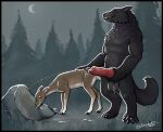 absurd_res animal_genitalia animal_penis anthro anthro_on_feral anthro_peeing ball_tuft balls bestiality big_balls big_penis black_border bodily_fluids border canid canine canine_genitalia canine_penis canis cervine clenched_teeth cum cum_on_face cum_on_grass cum_on_ground cum_on_muzzle cumshot deer duo ejaculation female feral fluffy fluffy_tail forest forest_background furry_balls genital_fluids genitals hand_on_butt hand_on_penis hi_res knot knotted_penis licking_urine male male/female male_peeing mammal mythological_canine mythological_creature mythology neck_tuft peeing penis plant sirtroglodon size_difference smile steam tail teeth tree tuft urine urine_on_face urine_on_ground watersports werecanid werecanine werecreature werewolf wolf