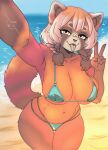 absurd_res ailurid anthro beach big_breasts bikini bikini_bottom bikini_top braided_hair breasts camel_toe clothing facial_markings female fluffy fluffy_tail fur gesture hair hand_gesture head_markings hi_res lussuria_academy mammal markings navel pink_tongue red_body red_fur red_panda skye_(lussuria_academy) solo string_bikini swimwear tail teal_bikini teal_clothing teal_swimwear tongue tongue_out triangle_bikini two-piece_swimsuit v_sign vvurm_drama