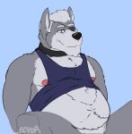  2017 areola bedroom_eyes belly black_nose blue_background body_hair bottomless canine clothed clothing clothing_lift eye_patch eyewear featureless_crotch fur grey_fur grey_hair hair half-closed_eyes happy_trail hi_res looking_down male mammal mature_male mostly_nude navel nintendo nude overweight purple_eyes rine seductive shirt shirt_lift simple_background sitting smile solo spread_legs spreading star_fox tank_top teeth video_games wolf wolf_o&#039;donnell wrinkles 
